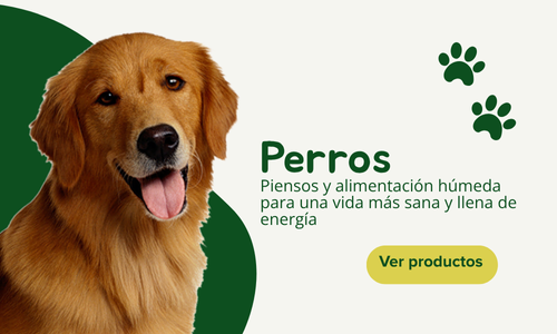 Productos para perros