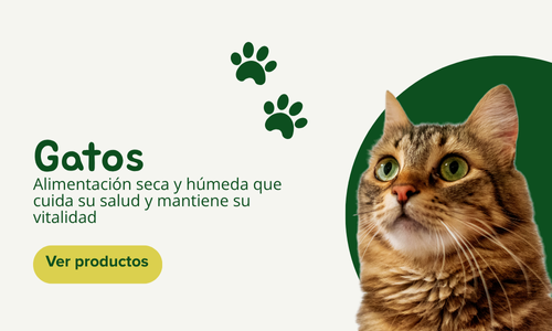 Productos para gatos