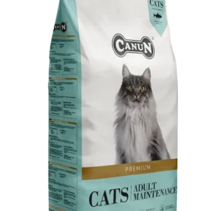 Cats Adult Manteinance